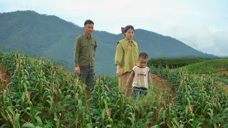My wife and son visit the new farm for the first time as the harvest begins