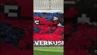 Massive Nordkurve todo to start our first Bundesliga game at home