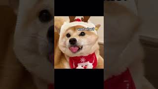 ITS CHRISTMAS TIME!!! #christmas