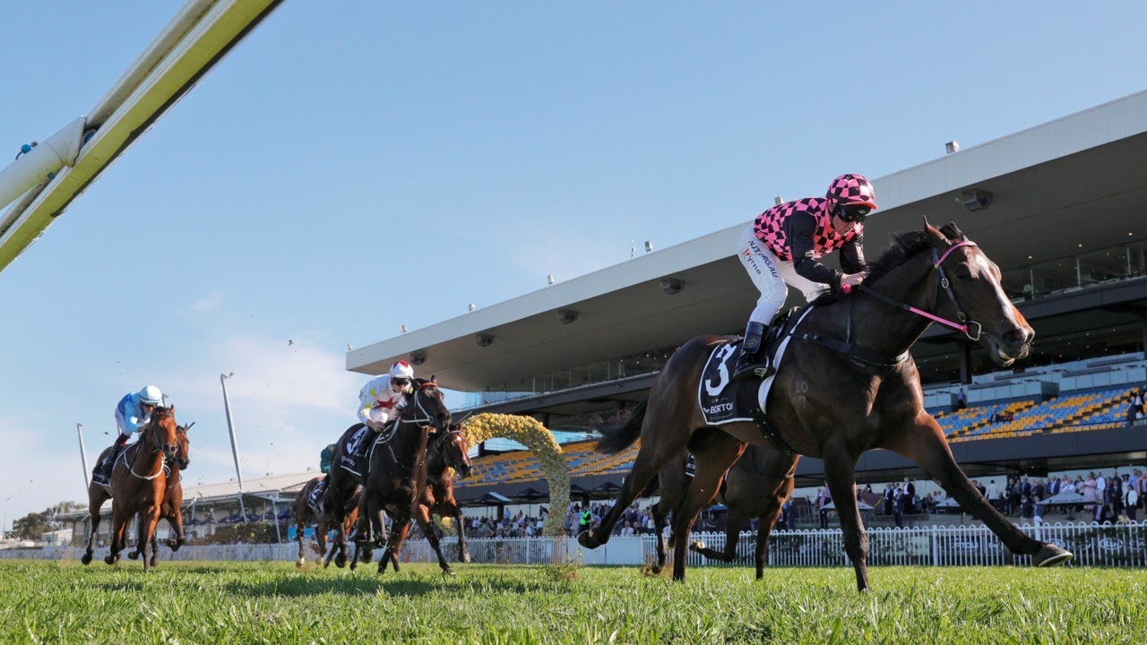 Engagement with Australian Horse Racing ‘Grew’ during COVID-19
