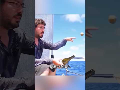 これは絶対に海へ捨てないでください