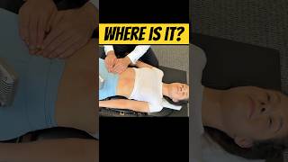 Organs, Oral, & Life Adjustments #chiropractic #asmr #relax #funny #weird #expert