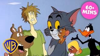 ¡MARATÓN de dibujos animados clásicos! 📺 | Tom y Jerry, Looney Tunes, Scooby-Doo ⭐️ | @WBKidsLatino
