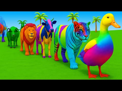 Long Slide Game With Cow Elephant Gorilla Hippopotamus Tiger - 3d Animal Game - Funny 3d Animals