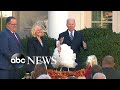 Thanksgiving Tradition at the White House