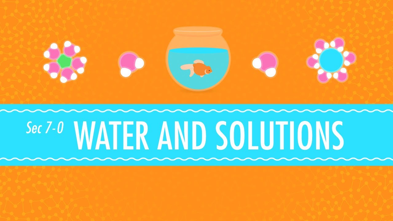 Understanding Water and Solutions