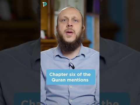 Historical Miracles in the Quran in one minute #Shorts