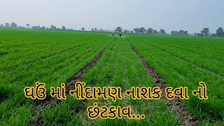 How To Apply Herbicide For Wheat Farming