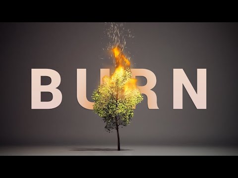 200,000 Trees Are Burning! (Simulation)