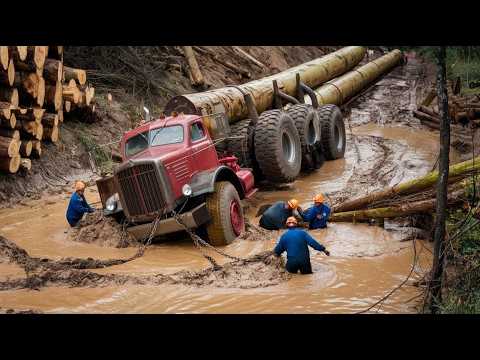 Extreme Logging Trucks in Action! Massive Heavy Equipment at Work in the Forest
