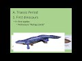 Evolutionary Relationships and Extinctions