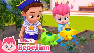 小種子快長大 🌱 Gardening Time | 台灣配音 經典兒歌 童謠 | 貝貝彬 Bebefinn 繁體中文