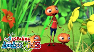 🐜 Las Hormiguitas Marchan + Canciones Infantiles 🐥🎵 | LooLoo Kids Español Música Para Niños