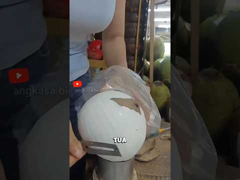 40 Ribu Sepotong Kelapa Tua di Italia! Cocobello! #faktaunik #kelapa #italia  #shortsviral