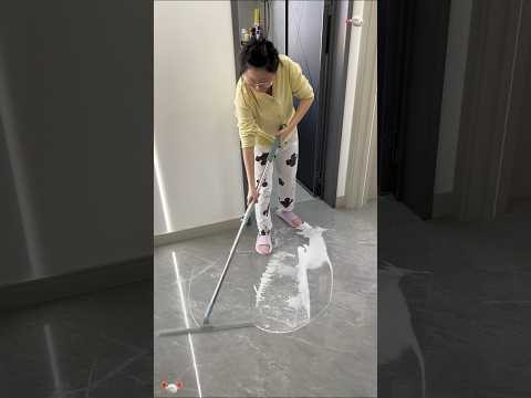 This mop can be used wet or dry. Scraping water and sweeping are possibilities for it #viralvideo 🧹👍