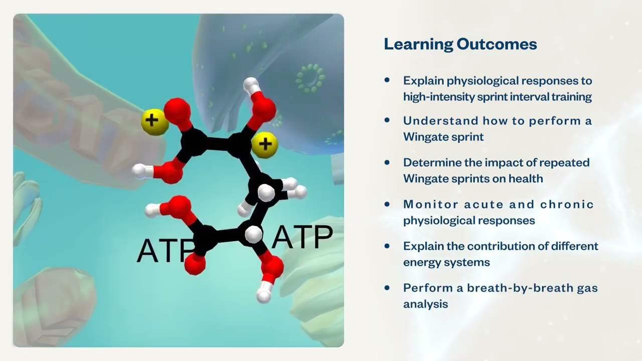 Virtual Physiology Lab: Exploring the Human Body in the Digital Age