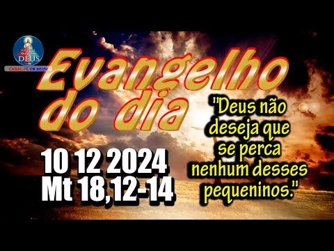 EVANGELHO DO DIA 10/12/2024 COM REFLEXÃO. Evangelho (Mt 18,12-14)