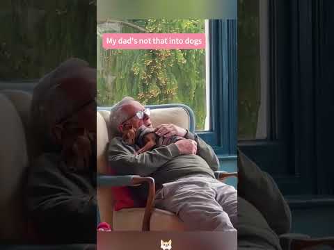 The awkward dad and the clingy little dog #youtube #funny #dog #usa #fyp #funnyvideo