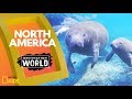 Exploring North America
