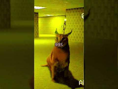 Um gato caiu nas backrooms | Part 1 #thebackrooms