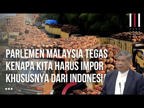 DPR Malaysia Marah Negaranya Impor Kelapa Dari Indonesia, Kita Akan Tertinggal dari Indonesia