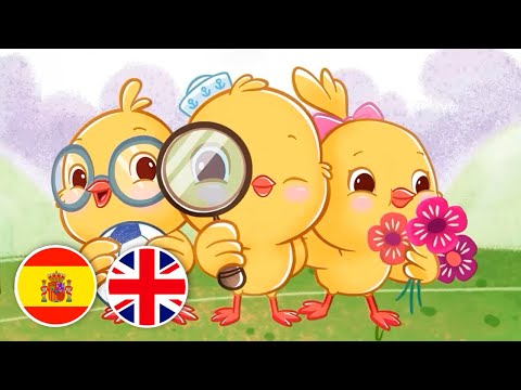 Sentimientos y Sentidos 👂👀 Aprende en Español e Inglés 🌈 Canticos | El Reino Dice