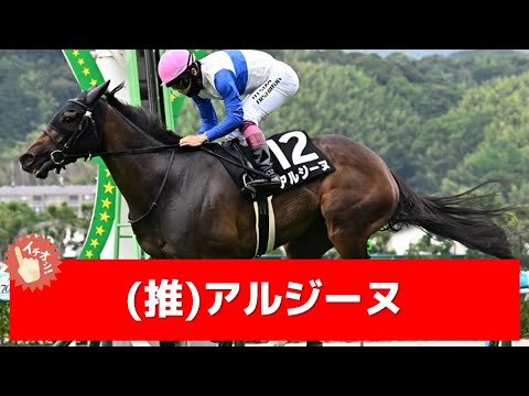 追い切り徹底解説！【ターコイズステークス2024】ミアネーロ、アルジーヌなどの状態はどうか？調教S評価は2頭！