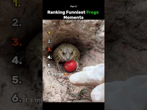 Ranking Best Frogs🐸 part 3