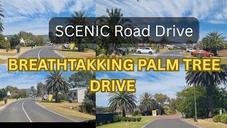 Scenic Drive to Serenity 💫Such breathtaking views  #hstvlogs
