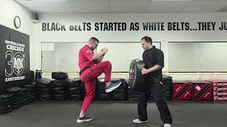 double punch thrust kick combo