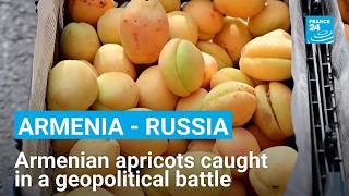 YouTube video thumbnail: Armenia - Russia: Armenian Apricots Caught in a Geopolitical Battle