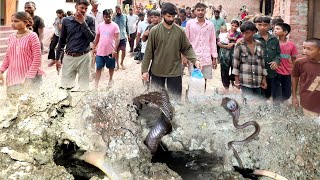 जहरीले कोबरा के काटने से कैसे चली गई जान, फिर कहाँ छिपा था कोबरा सांप, कैसे रेस्क्यू हुआ!🥹snake bite