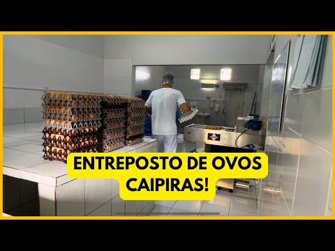 ENTREPOSTO de OVOS CAIPIRAS REGISTRADO no SIF