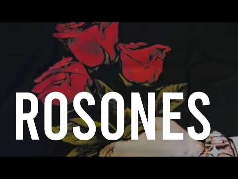 ROSONES- Tito Double P(Letra/Lyrics)2026