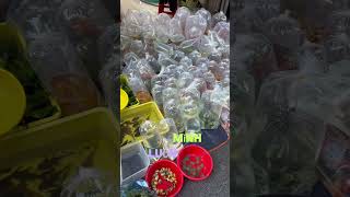 Khu vực nuôi cá tập trung đông nhất TP HCM Phần 2  #bettasales #baoiba #ngocdiemaquarium