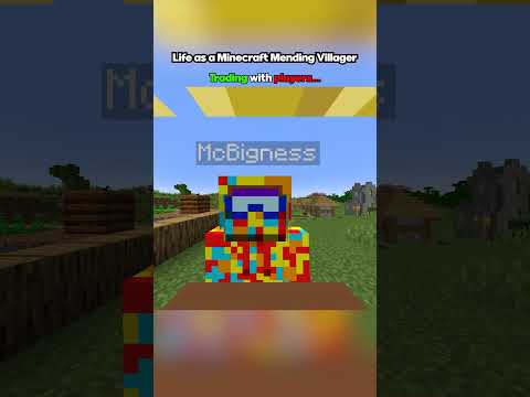 Minecraft Life as a Mending Villager