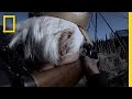 Understanding Bear Behavior and Safety