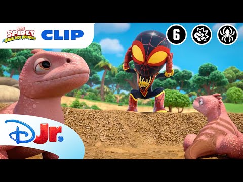 🌋 De Lava | Spidey en zijn Geweldige Vriendjes | Disney Junior België-Nederland