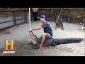 Alligator Management and Conservation Issues