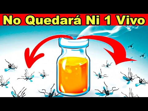 5 TRUCOS CASEROS PARA ELIMINAR LOS ZANCUDOS Y MOSQUITOS POR LAS NOCHES