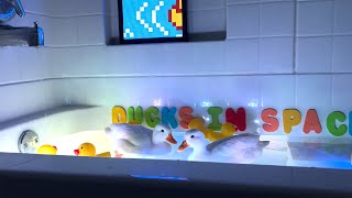 Pet Ducks in the Bathtub /  Mochi & Yoshi