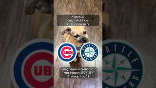 Cujo’s MLB Picks | Chicago Cubs vs Seattle Mariners ⚾ 08-23-2026 #CujoCatches