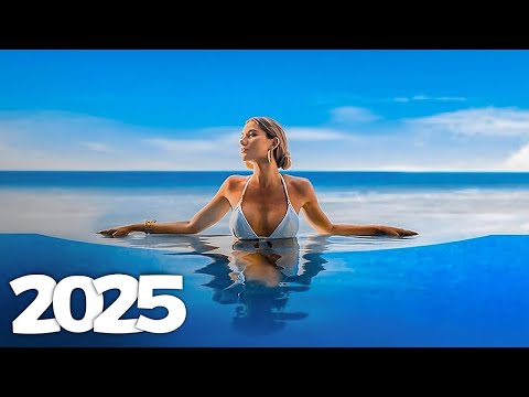 Alan Walker, Dua Lipa, Coldplay, Martin Garrix & Kygo, The Chainsmokers Style 🔥 Summer Vibes 2025