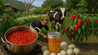 HOW TO Make Exotic Pepper Jam in Azerbaijan? - 1 Hour Of The Best Recipes