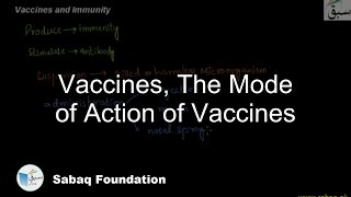 Vaccines, The Mode of Action of Vaccines