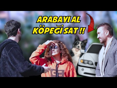 BMW KARŞILIĞINDA EVCİL HAYVANINDAN VAZGEÇER MİSİN? SOSYAL DENEY