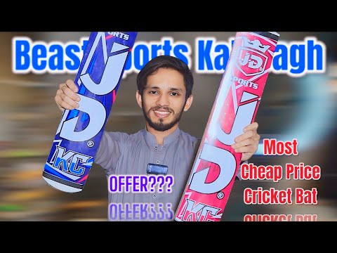 MOST POPULAR IN CHEAP PRICE CRICKET BATS || Beast Sports