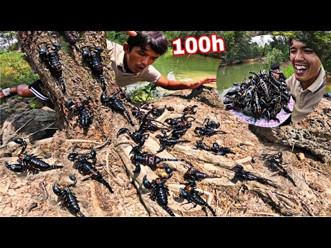 100H Sinh Tồn Ngoài Đồng Ruộng | Bắt Bò Cạp Mò Cá Bắt Cua Tìm Thức Ăn Và NGỦ QUA ĐÊM Trong Nhà Chòi
