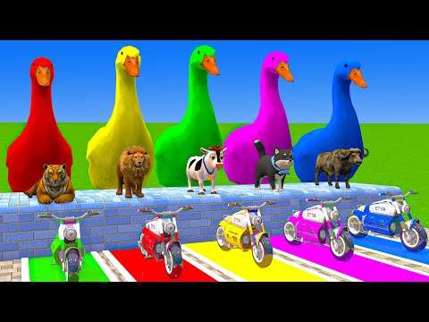 Long Slide Game With Elephant Gorilla Buffalo Hippopotamus Tiger - 3d Animal Game - Funny 3d Animals