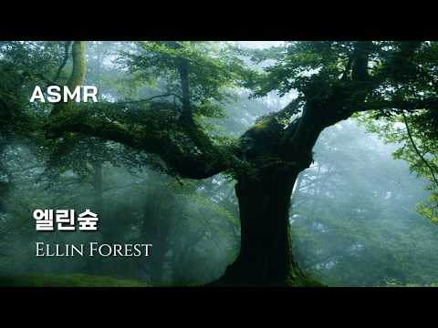 몽환적인 빗소리와 고요한 엘린 숲 【﻿메이플스토리 ​ASMR】